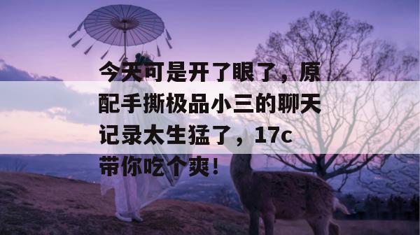 今天可是开了眼了，原配手撕极品小三的聊天记录太生猛了，17c带你吃个爽！  第1张